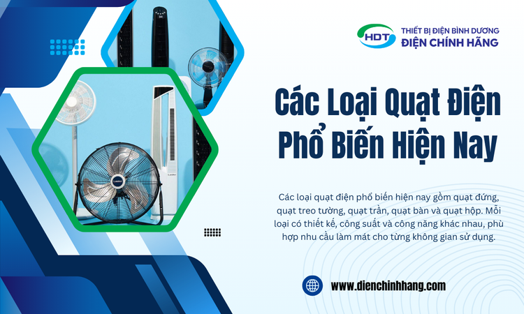 Các Loại Quạt Điện Phổ Biến Hiện Nay