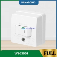WSG3001