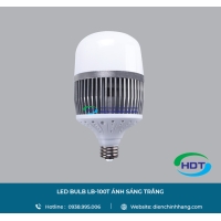LED BULB MPE LB-100T ÁNH SÁNG TRẮNG