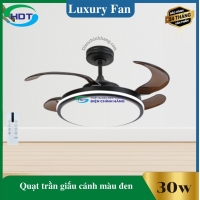  Quạt Trần Giấu Cánh Màu Đen