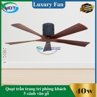 Quạt Trần Trang Trí Phòng Khách 5 cánh Luxaire Ritter Hugger V