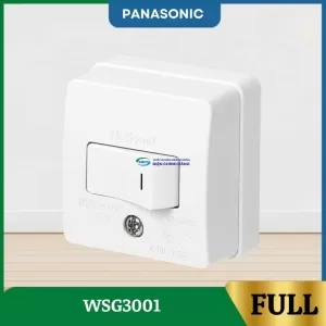 WSG3001