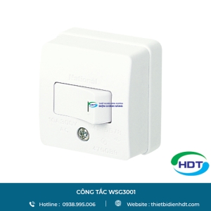 Công tắc WSG3001