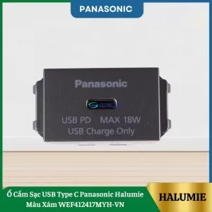 Ổ Cắm Sạc USB Type C Panasonic Halumie Màu Xám WEF412417MYH-VN