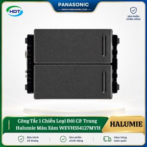 Công Tắc 1 Chiều Đôi Cỡ Trung Panasonic WEVH554127MYH