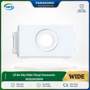 Lỗ Ra Dây Điện Thoại Panasonic WEG3023SW