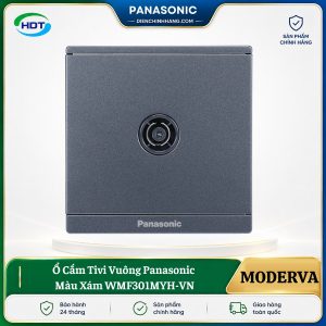 Ổ Cắm Tivi Panasonic Moderva WMF301MYH-VN